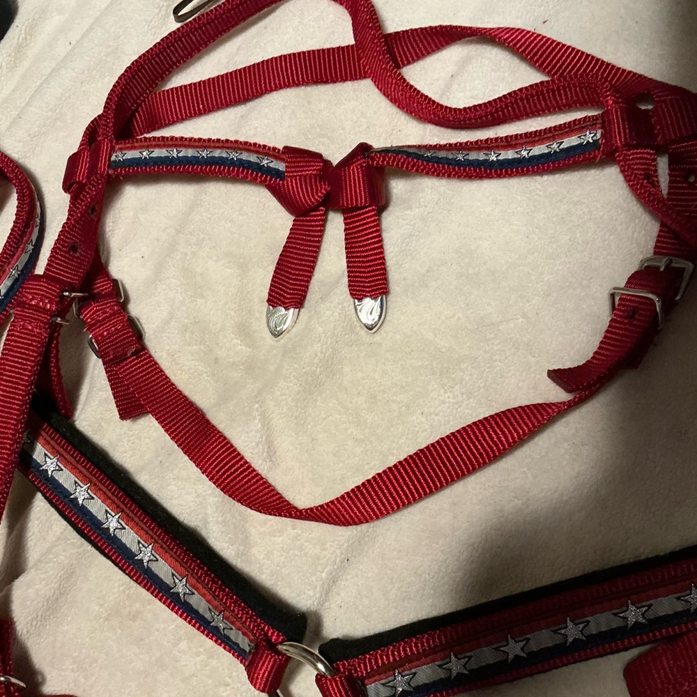 Red Star-Trim Nylon Horse bridle set